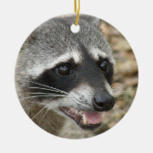 Raccoon Face Ornament (Voorkant)
