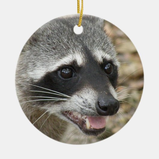 Raccoon Face Ornament (Voorkant)