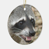 Raccoon Face Ornament (Links)