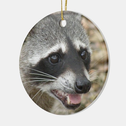 Raccoon Face Ornament (Links)