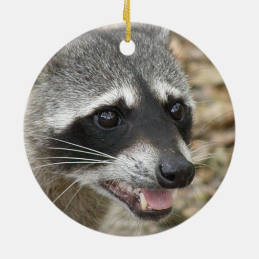 Raccoon Face Ornament (Achterkant)