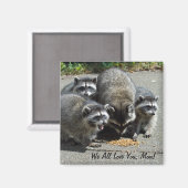 Raccoon familie mam magneet (Voorkant / Achterkant)