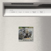 Raccoon familie mam magneet (Insitu (Vaatwasser))