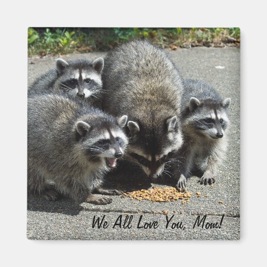 Raccoon familie mam magneet (Voorkant)