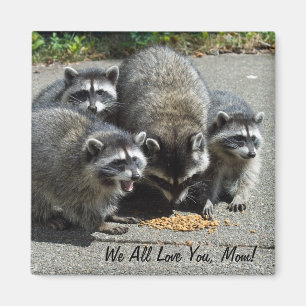 Raccoon Family Ma Magnet
