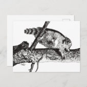 RACCOON FEESTDAGENKAART (Voorkant / Achterkant)