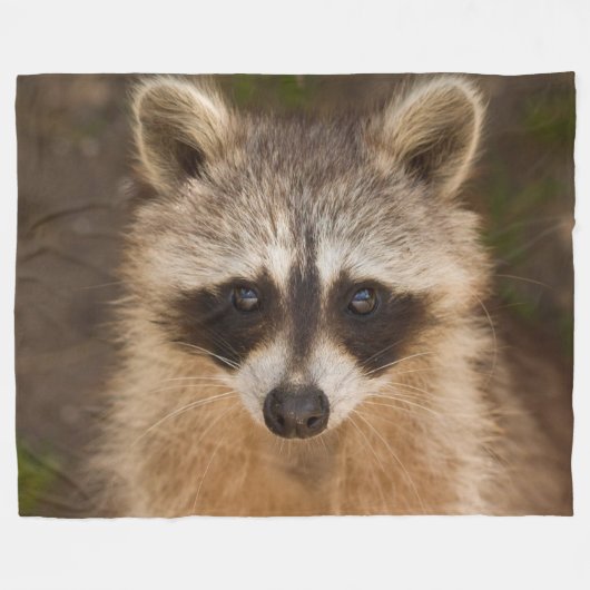 Raccoon Fleece Deken (Voorkant (Horizontaal))
