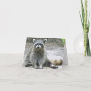 Raccoon Foto gevouwen Note Kaart