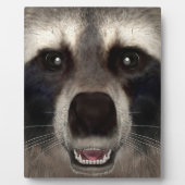 Raccoon Fotoplaat (Voorkant)