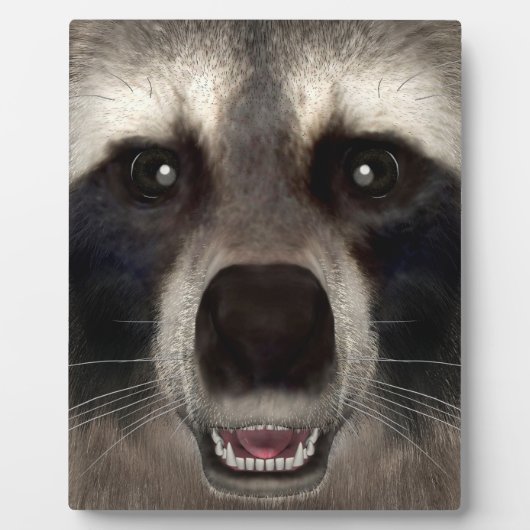 Raccoon Fotoplaat (Voorkant)