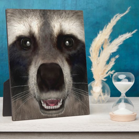 Raccoon Fotoplaat (Zijkant)