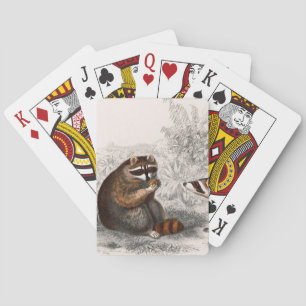 Raccoon  geïllustreerd pokerkaarten