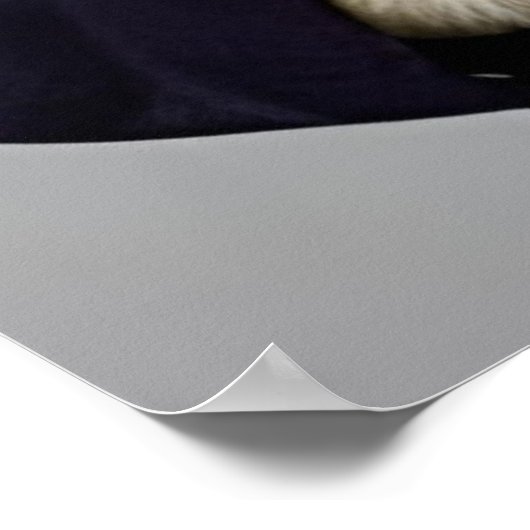 Raccoon Gentleman in een pak wandkunst Poster (Hoek)