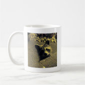 Raccoon ~ Gezicht van een Angel Koffiemok (Links)