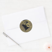 Raccoon ~ Gezicht van een Angel Ronde Sticker (Envelop)