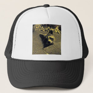 Raccoon ~ Gezicht van een Angel Trucker Pet