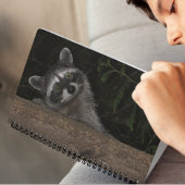 Raccoon gluren van Achter Tree Natuur Foto Notitieboek