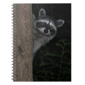 Raccoon gluren van Achter Tree Natuur Foto Notitieboek (Voorkant)