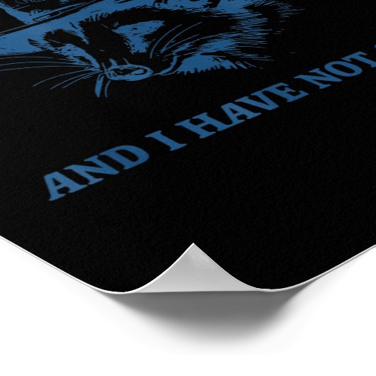 Raccoon God Is Testing Me And I Have Not Studied Poster (Hoek)