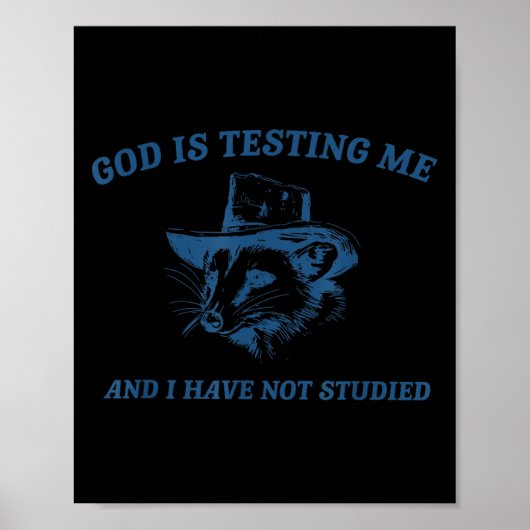 Raccoon God Is Testing Me And I Have Not Studied  Poster (Voorkant)