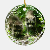 Raccoon Habitat Ornament (Voorkant)