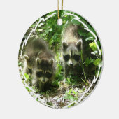 Raccoon Habitat Ornament (Links)