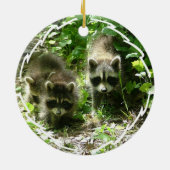 Raccoon Habitat Ornament (Achterkant)