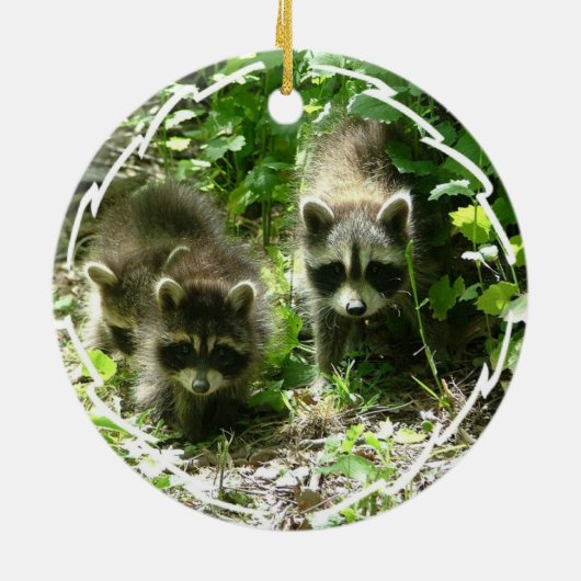 Raccoon Habitat Ornament (Achterkant)