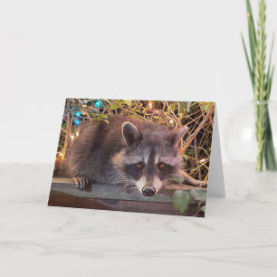 Raccoon Happy Birthday Kaart voor iedereen