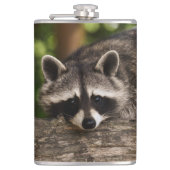 Raccoon Heupfles (Voorkant)