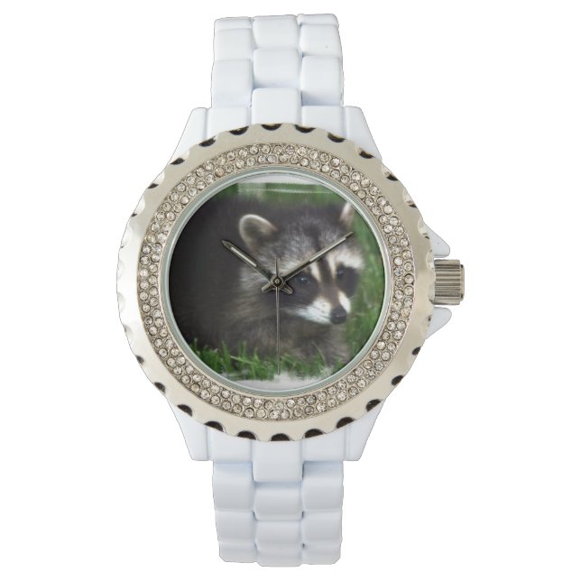 Raccoon Horloge (Voorkant)