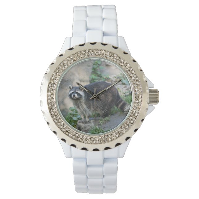 Raccoon Horloge (Voorkant)