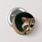 Raccoon huid-en-zoeken ronde button 5,7 cm (Voorkant /achterkant)