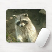Raccoon I Muismat (Met muis)
