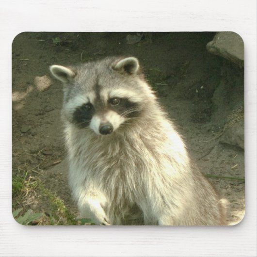 Raccoon I Muismat (Voorkant)