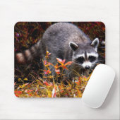 RACCOON IN AUTUMN MUISMAT (Met muis)