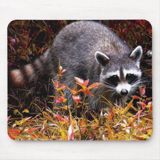 RACCOON IN AUTUMN MUISMAT (Voorkant)