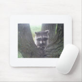 Raccoon in de boom muismat (Met muis)