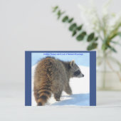 Raccoon in de feestsneeuw feestdagenkaart (Staand voorkant)