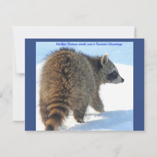 Raccoon in de feestsneeuw feestdagenkaart (Voorkant)