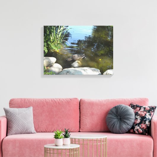 Raccoon in de stroom canvas afdruk (Insitu (Woonkamer))