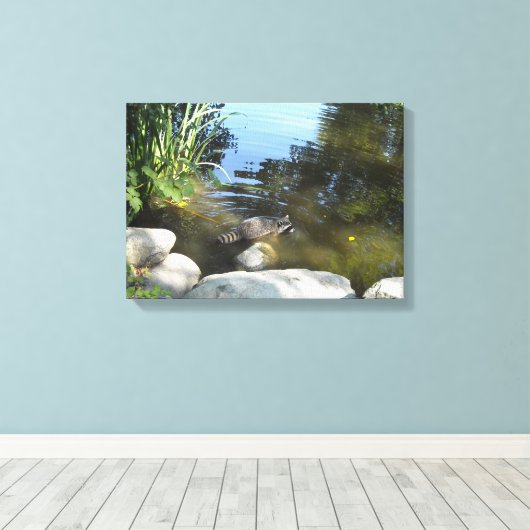 Raccoon in de stroom canvas afdruk (Insitu (Houten vloer))