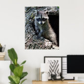 Raccoon in Den Haag Poster (Thuiskantoor)