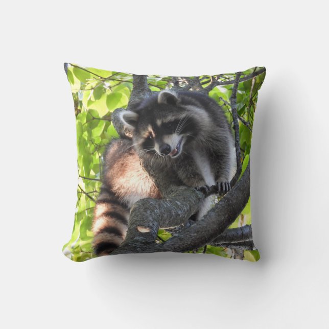 Raccoon in een boom kussen (Voorkant)