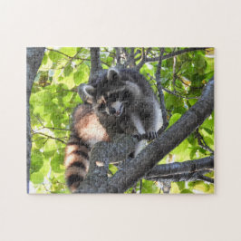 Raccoon in een boom legpuzzel