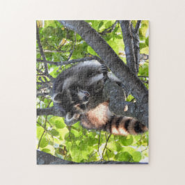 Raccoon in een boom legpuzzel