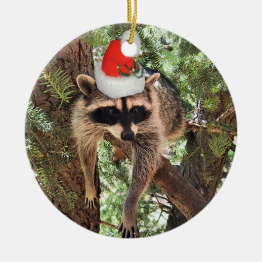 Raccoon in een boom met een kersthoed. keramisch ornament (Voorkant)