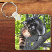 Raccoon in een boom sleutelhanger (Voorkant)