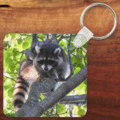 Raccoon in een boom sleutelhanger (Achterkant)