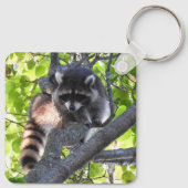 Raccoon in een boom sleutelhanger (Achterkant)